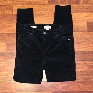 Loft Modern Skinny Corduroy Petite Jeans